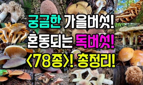 肺炎什么症状吃什么药效果最好-肺炎儿童症状-肺炎怎么治疗效果最好的方法,中国还儿肺炎有那些症状网站